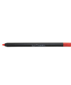 Zizel Lip Pencil No 01